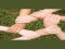 Foster/Adoptive Parent Informational Meeting (Registration Required)