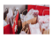 Untitled_design_15.png
