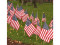 Veterans Day Ceremony (Oswego)