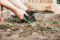 Westside Community Garden Meeting (Oswego)