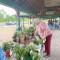 Plant Swap by Fulton Garden Club
