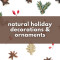 Natural Holiday Decorations and Ornaments (Lysander)