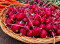 Farmers Market (Phoenix)