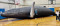 Whale of a Day at Oswego Library