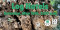 Log Hotels Program (Amboy; Registration Requested)