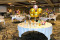 Not So Silent Auction by Oswego County Historical Society