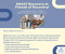 SMART Recovery Meeting @ Friends of Recovery Oswego County