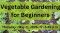 Vegetable Gardening for Beginners (Oswego; Registration Required)