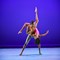AileyII-Courtney_RossLloydABoydIII__-_Eduardo_Patino.jpg