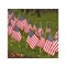 Veterans Day Ceremony (Fulton)