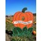 U-Pick Pumpkins and Corn Maze (Parish)