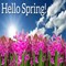 Spring.jpg