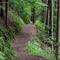 A Wander through Nature