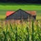 Ag Agency Awareness Workshop (Mexico, Registration Required)