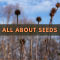 All About Seeds: Collecting, Storing, and Cultivating