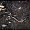 Beginner Composting Workshop (Amboy)