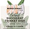 Create a Succulent Trinket Dish with Bridge Street Makers