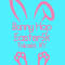 Bunny Hop 5k (Pulaski)