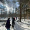 Guided Snowshoe Hike (Amboy)