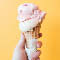 Ice Cream Social at North Volney UMC