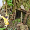Let's Build Fairy Houses (Lysander)