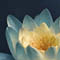Meditation and Relaxation Group (Oswego)
