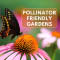 Creating a Pollinator Friendly Garden (Lysander)