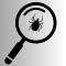 Tick Talk (Lysander)