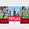trylax.jpg