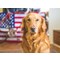 Dog Day for Veterans and their Dogs