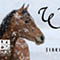 Winter Round-Up (Amboy, Registration Required)