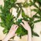 wreaths_for_wildlife_4h.jpg