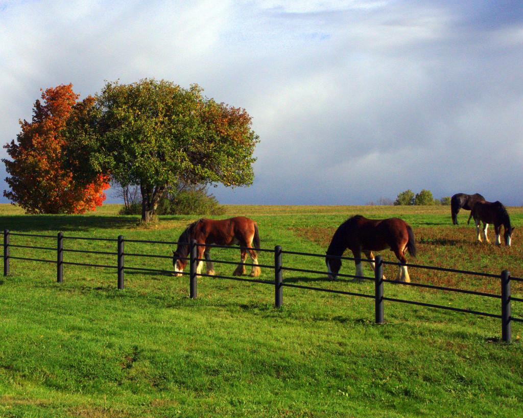 duane st one fall morning