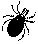 tick