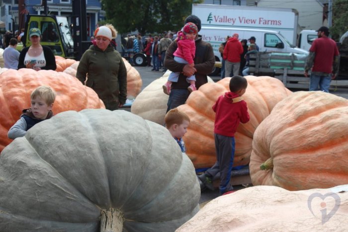 Pumpkinfest