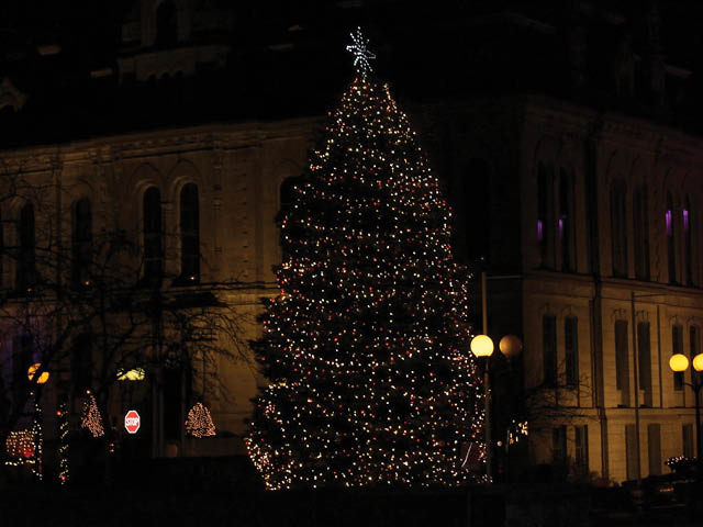 Light up Christmas tree outside City Hall in Oswego