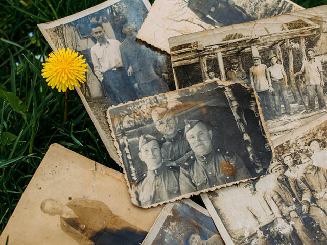 black and white photos laid on the grass