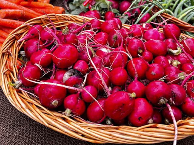 Town and Village of Mexico Launch Farmers’ Market