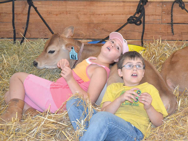 Two kids using a calf's back as a pillow