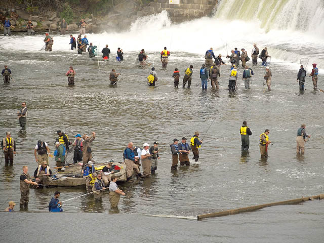 A large crowd fishing for salmon on the Oswego River in 2020