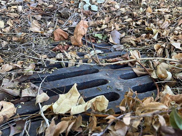 Small sticks and leaves partially covering a metal grate in the ground