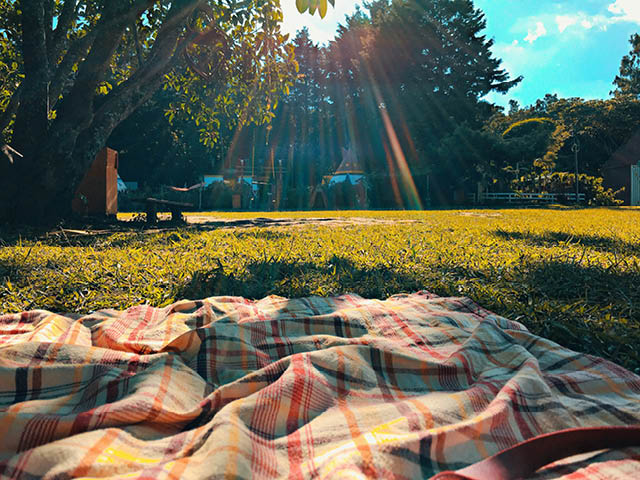 A picnic blanket on the grass in a sunny park
