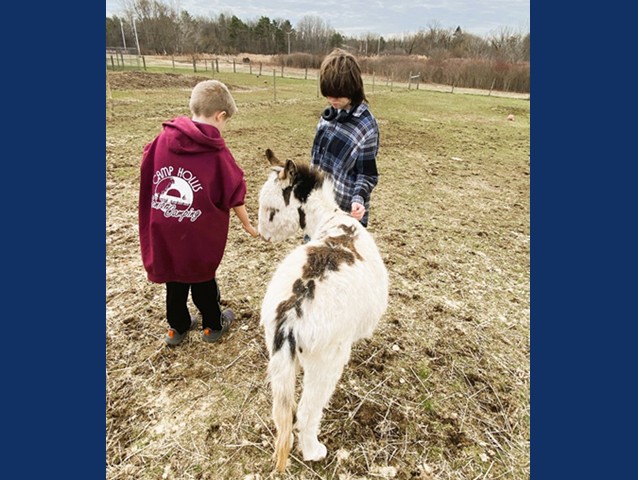 One blonde child in long maroon hoodie, another short dark-haired boy in flaneel with a white donkey with brown spots in a field