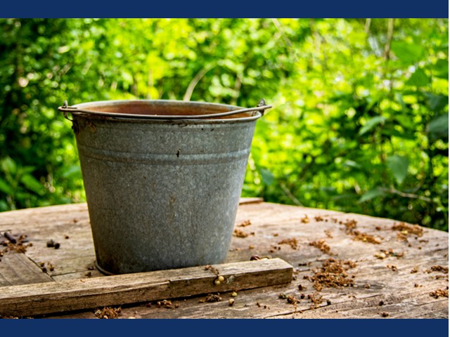 Metal old bucket sitting on a table next to a stick of lumber with bright green bushes in background.