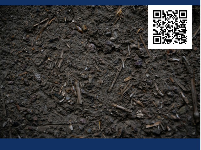 Garden Composting Workshop Held on August 29th in Mexico, NY 