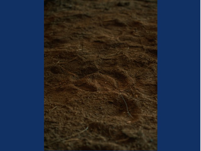 From Soil to Canvas: Painting with Soil Workshop