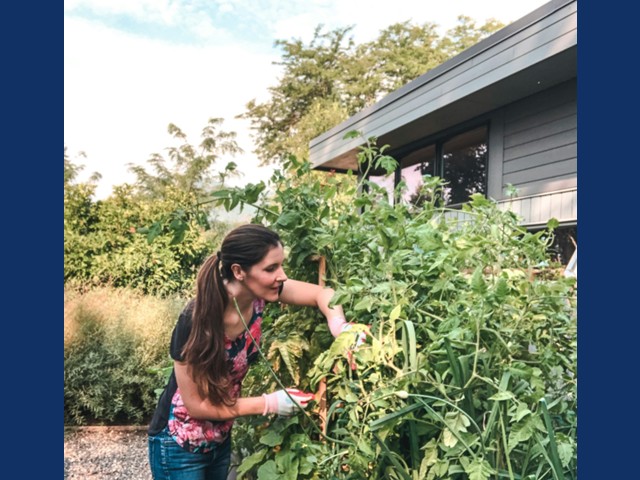 Master Gardener Training to be Offered in February 2026
