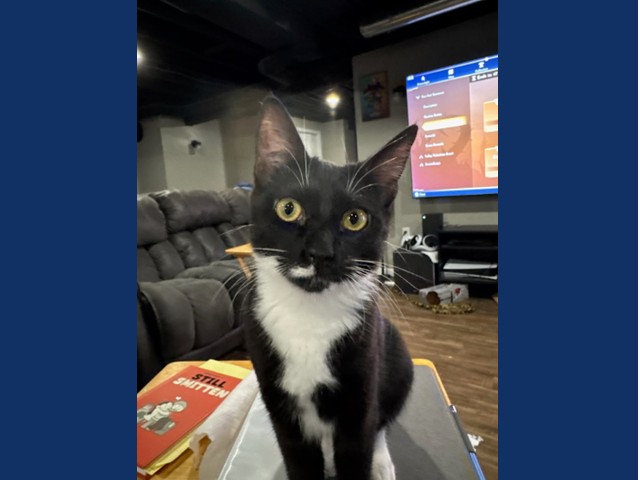 Gianni Versace: Pet of the Week