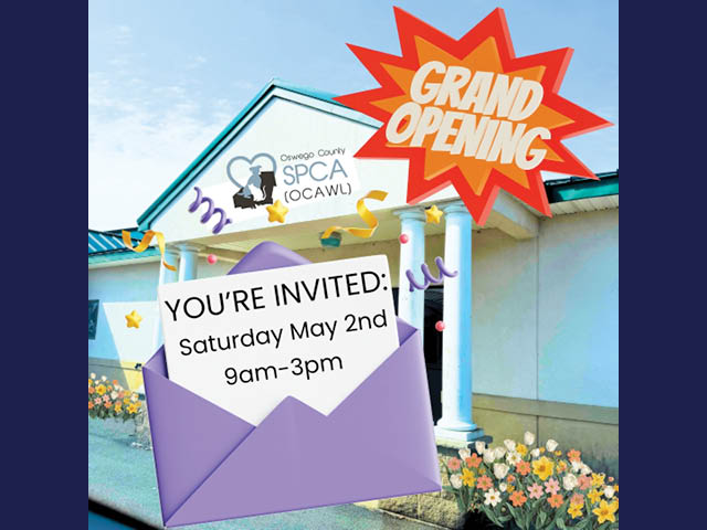 Grand opening graphic over a photo of the new location's entrance