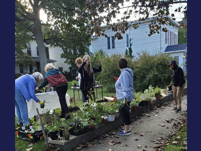 People looking at plants at a previous year's sale